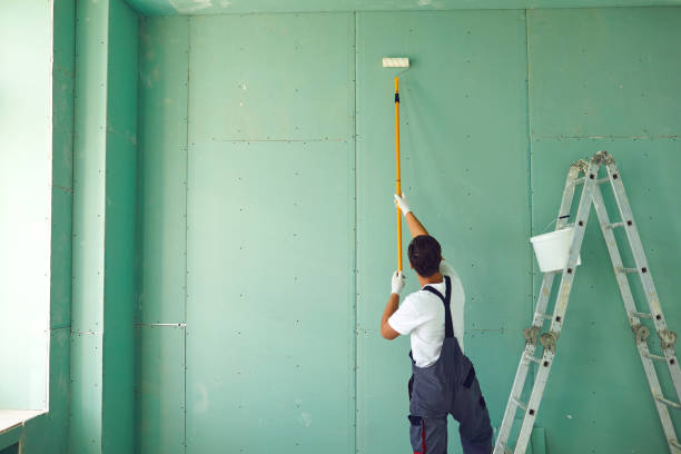 Trusted Lakeside Park, KY Mold Removal Experts
