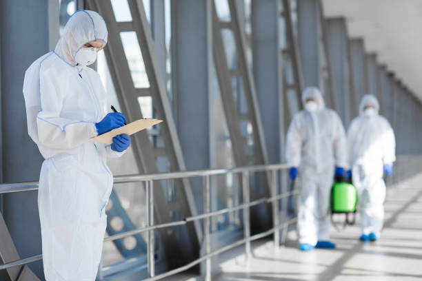 Best Basement Mold Removal  in Lakeside Park, KY