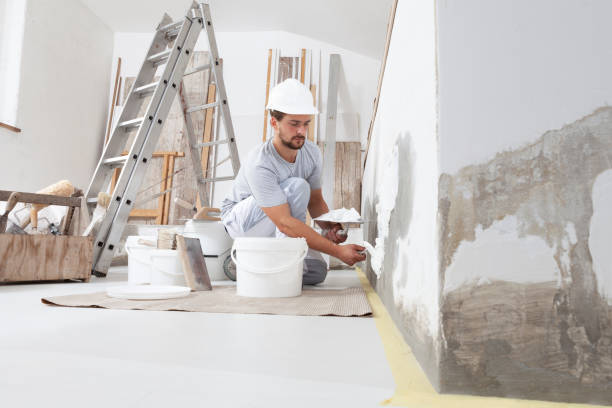Best Post-Construction Mold Inspection  in Lakeside Park, KY