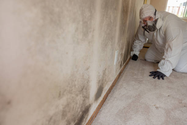 Best Residential Mold Inspection & Testing  in Lakeside Park, KY