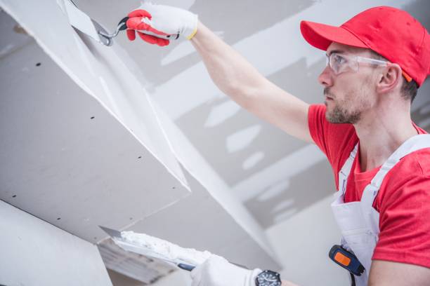 Best Asbestos and Lead Testing During Mold Inspection  in Lakeside Park, KY