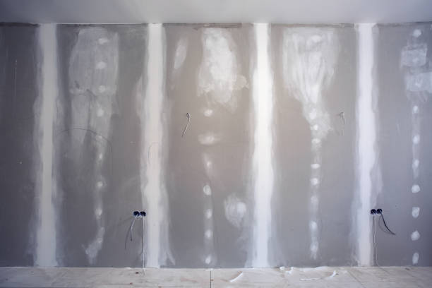 Best Mold Odor Removal Services  in Lakeside Park, KY